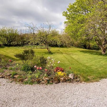 Llys Onnen - North Wales Holiday Cottage Mold Extérieur photo